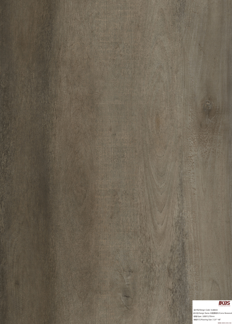 Rev&ecirc;tement de sol stratifi&eacute; VL88043