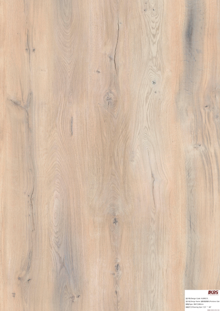 Rev&ecirc;tement de sol LVT VL89017L