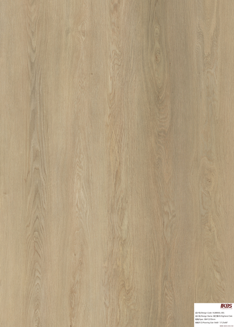 Lantai Laminasi VL88065L